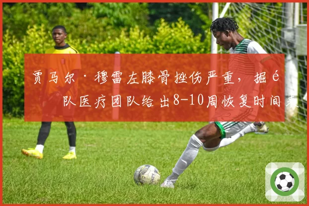 贾马尔·穆雷左膝骨挫伤严重，掘金队医疗团队给出8-10周恢复时间表