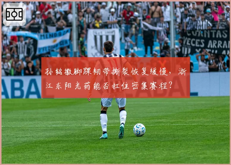 孙铭徽脚踝韧带撕裂恢复缓慢,浙江东阳光药能否扛住密集赛程?