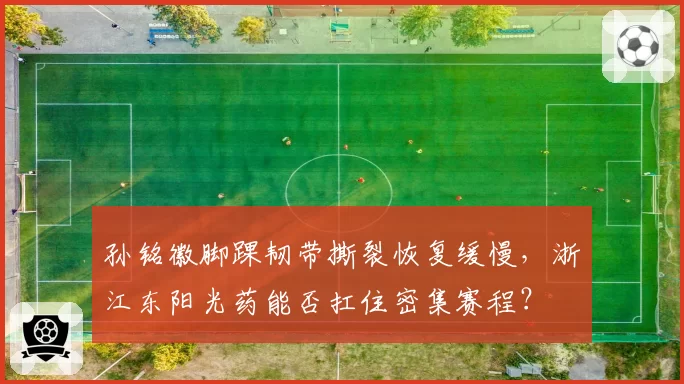 孙铭徽脚踝韧带撕裂恢复缓慢,浙江东阳光药能否扛住密集赛程?