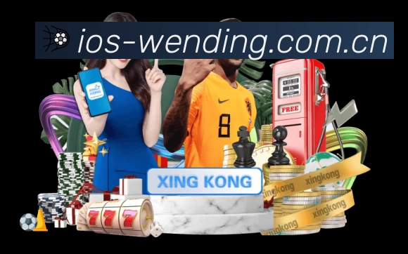 王哲林低位单打与沈梓捷吃饼效率:不同风格内线在季后赛的战术价值