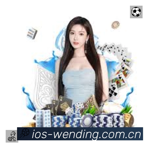 安全使用与支持流程